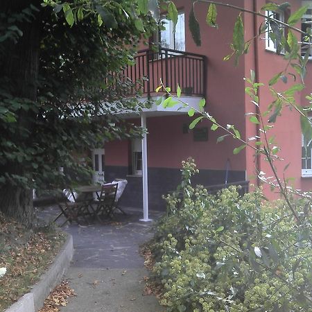 Apartamentos Los Balcones Tineo Dış mekan fotoğraf